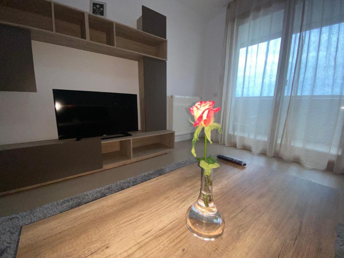Central Apartment Timisoara Ngoại thất bức ảnh
