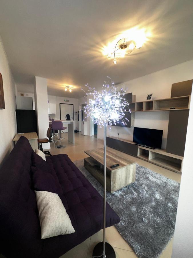 Central Apartment Timisoara Ngoại thất bức ảnh