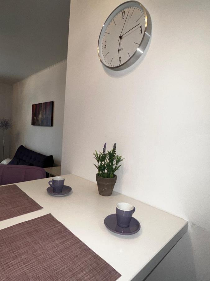 Central Apartment Timisoara Ngoại thất bức ảnh