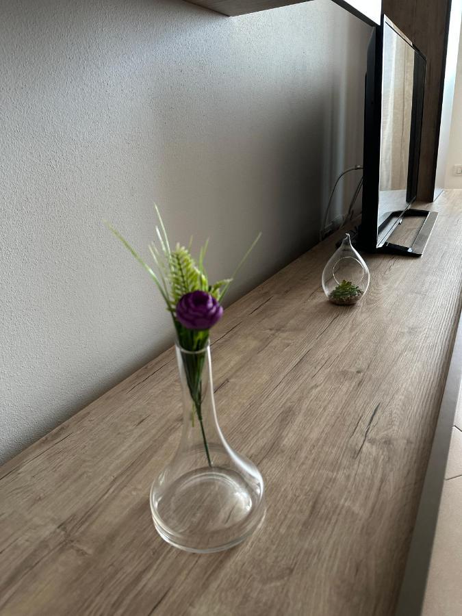 Central Apartment Timisoara Ngoại thất bức ảnh